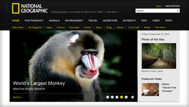 在线短信轰炸平台